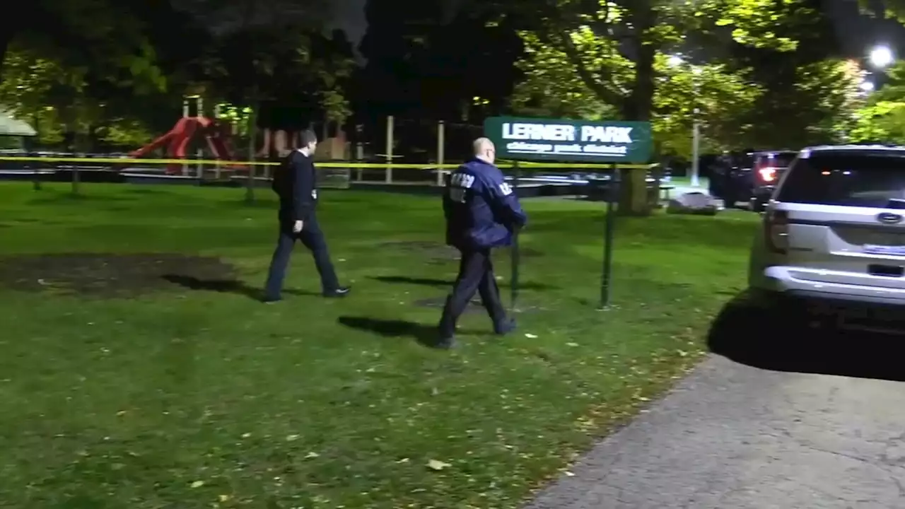 Chicago shooting: Person shot, killed in West Ridge's Lerner Park, police say