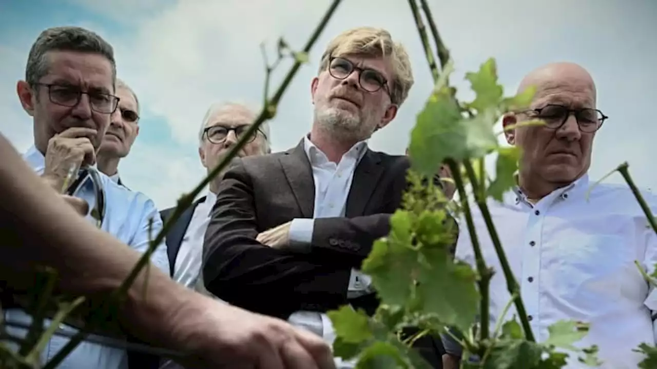 Electricité: l'alimentaire parmi les secteurs 'prioritaires' cet hiver, selon Marc Fesneau