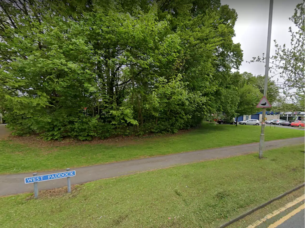 Woman in 30s dies after car crash in Leyland