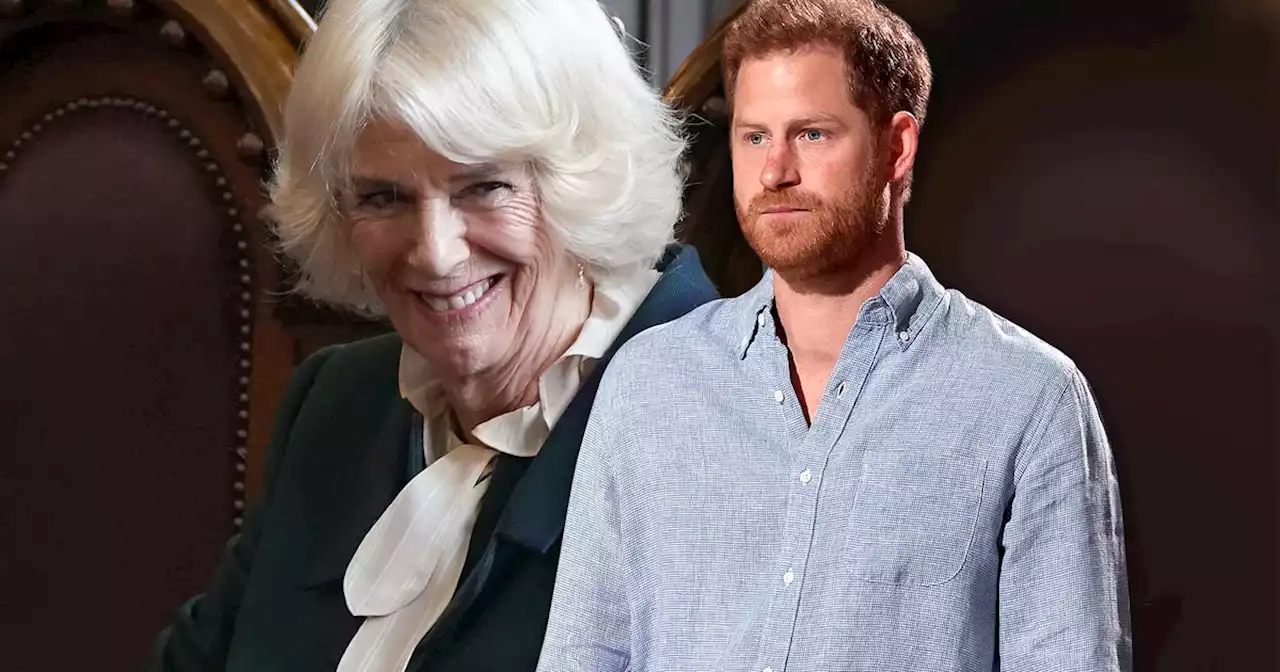 Prinz Harry: Kritik an Königin Camilla könnte Konsequenzen nach sich ziehen