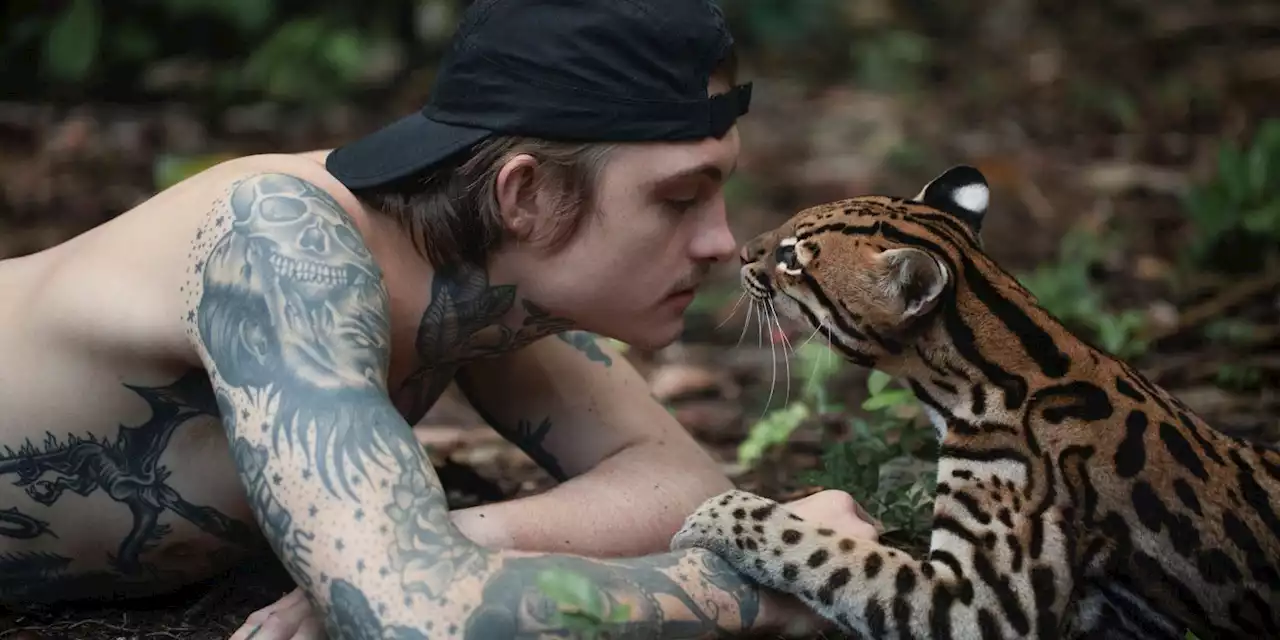 Lost Veteran Finds Meaning and Love in the Amazon in New 'Wildcat' Trailer