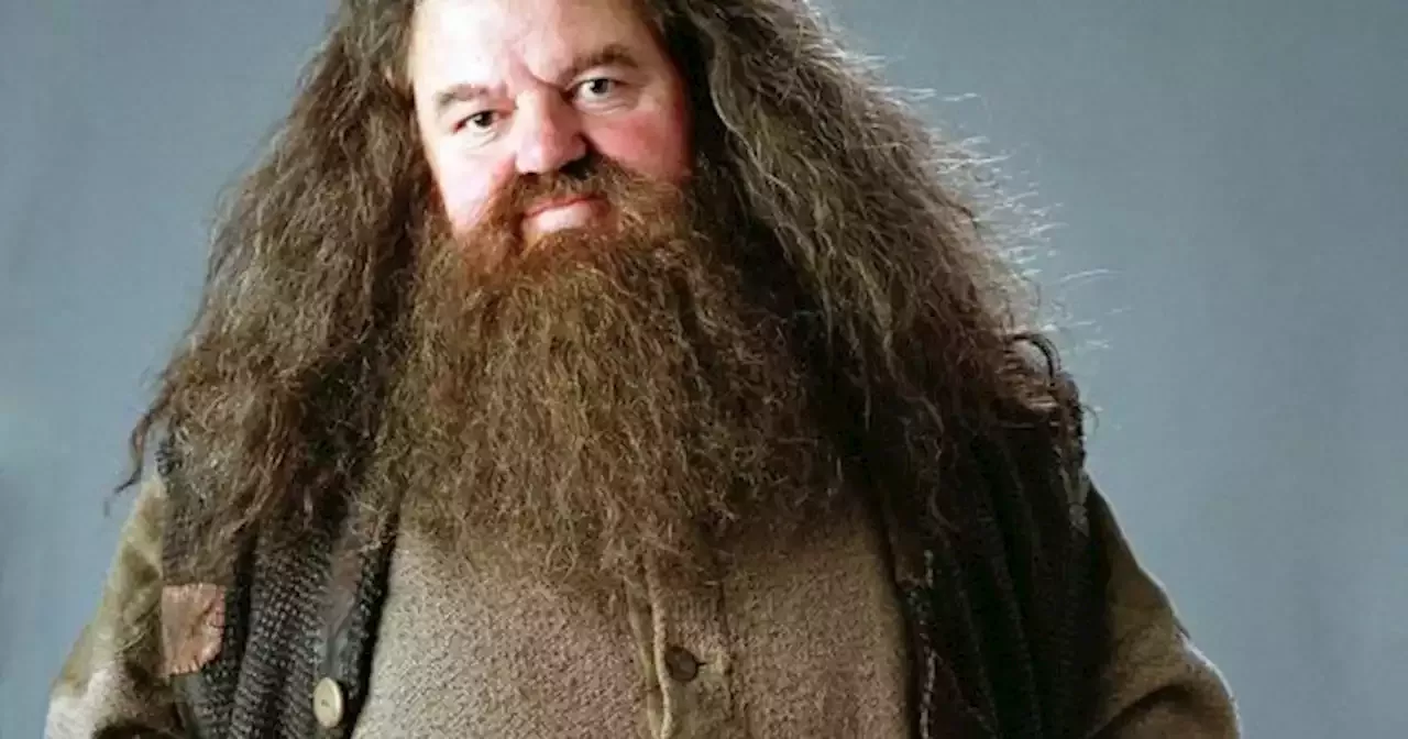 Muri Hagrid De Harry Potter Las Mejores Escenas De Robbie Coltrane