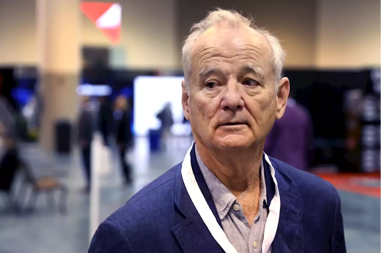 Bill Murray Faces Avalanche Of New Accusations