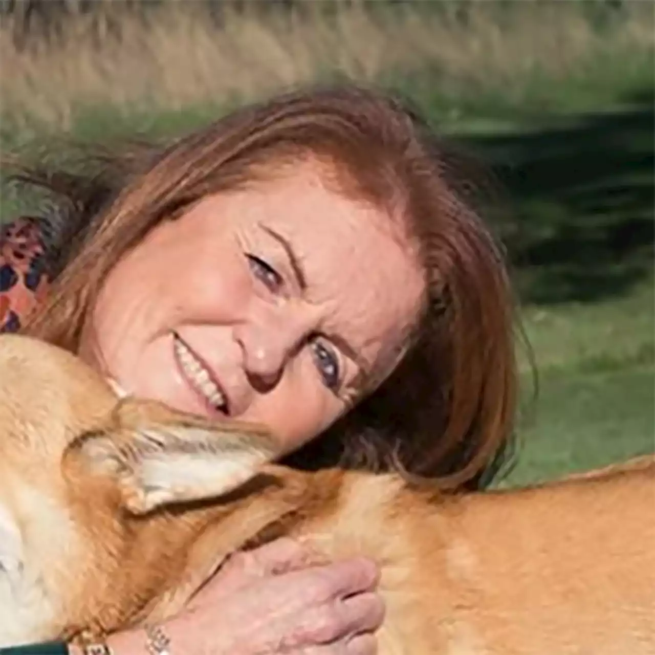 Sarah Ferguson Shares First Photos of Queen Elizabeth's Corgis as They Settle into New Home - E! Online