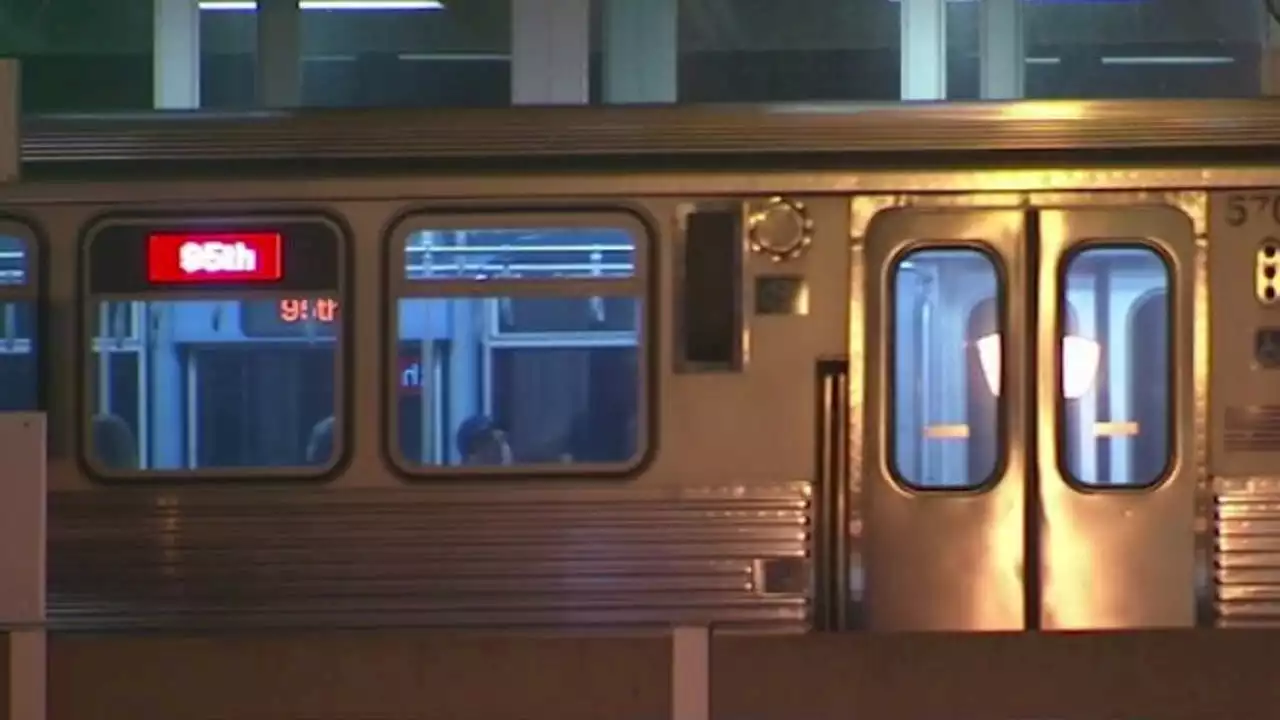 CTA Red Line trains bypass 87th Street Station after disturbance: officials