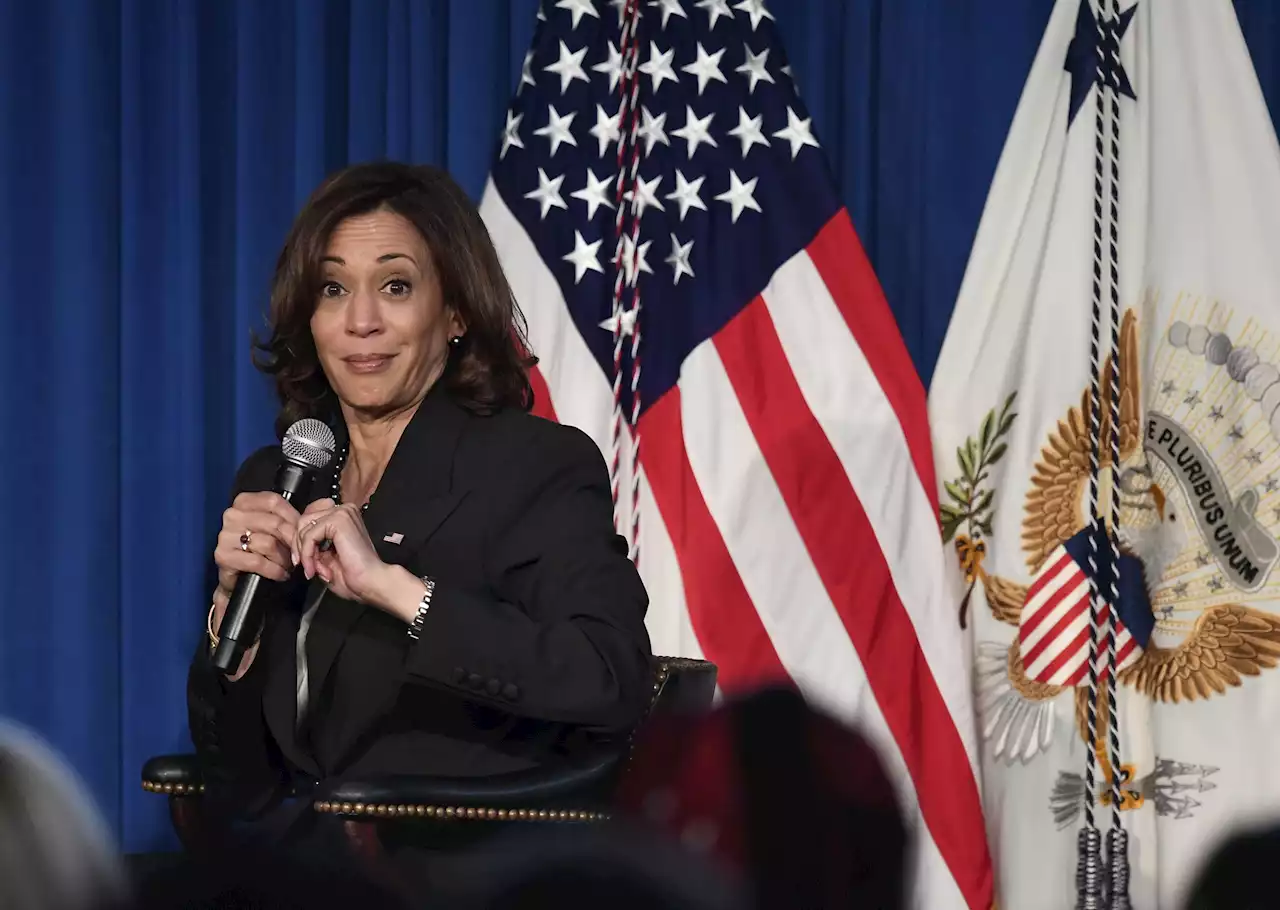 Kamala Harris ‘needs to do her job’: Border rancher struggles to secure his ranch from migrants