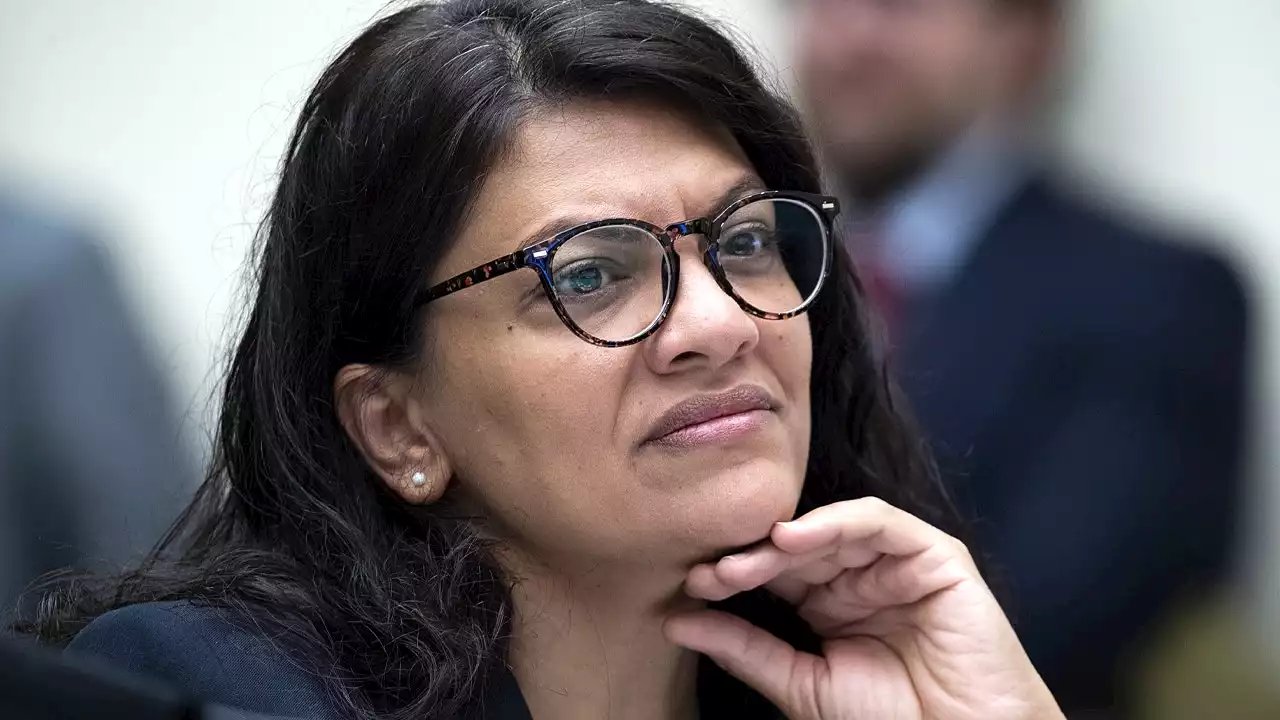 Tlaib-linked Dem fundraiser placed on leave over anti-Semitic posts