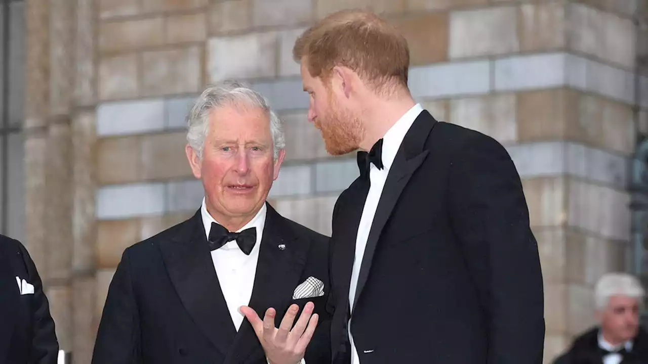 König Charles: Wenn Prinz Harry respektlos ist, wird auch er erbarmungslos