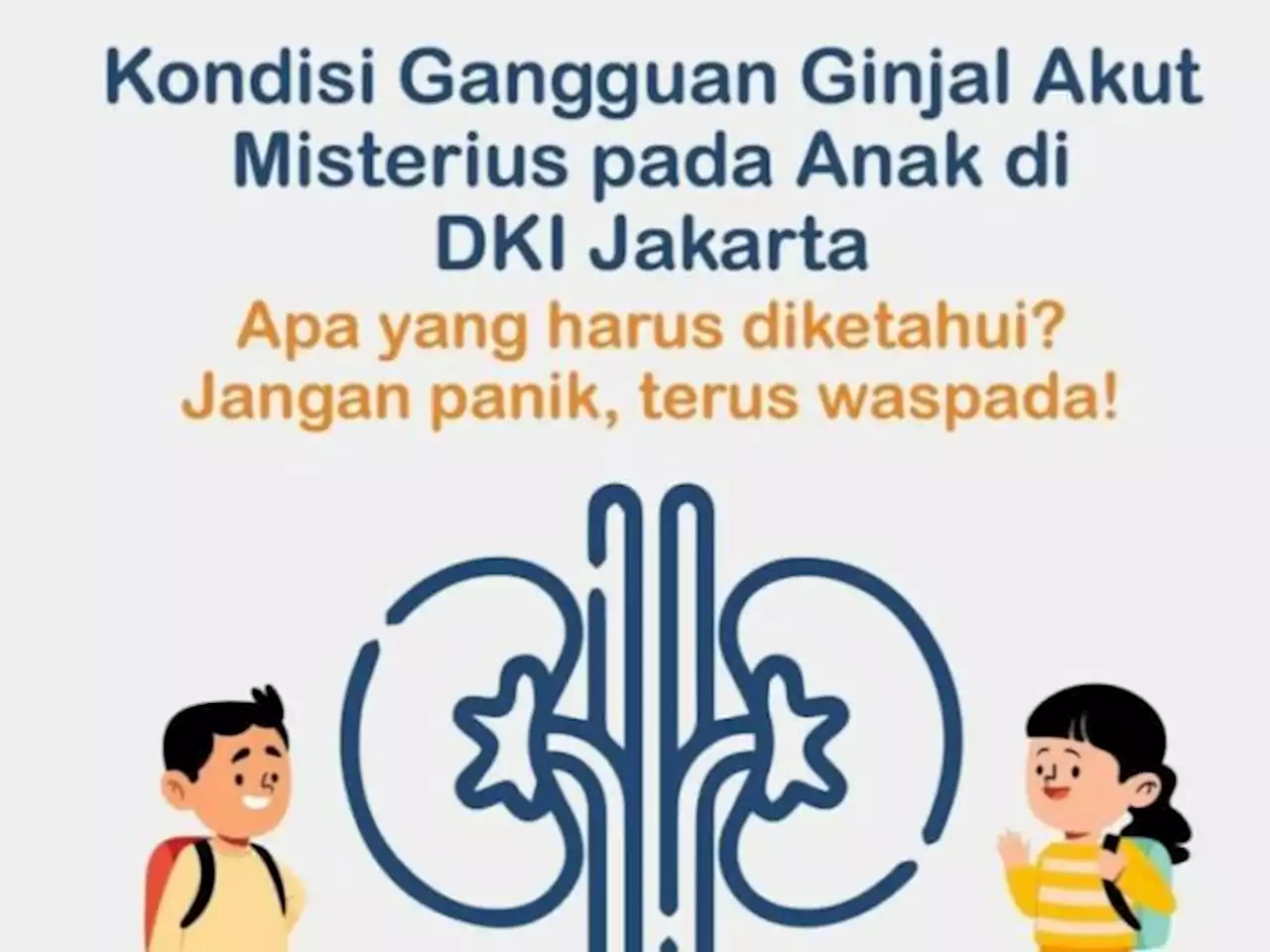 Temukan Kasus Ginjal Akut Misterius, Ini Gejala dan Pencegahannya