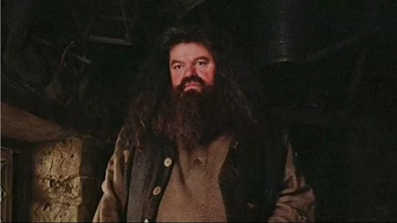 Robbie Coltrane, Pemeran Hagrid dalam Film Harry Potter Meninggal di Usia 72