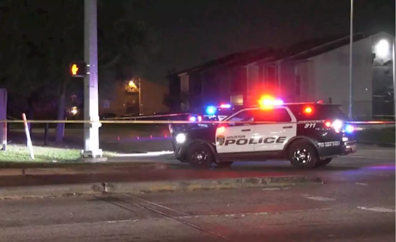 Man shot during argument outside convenience store in NE Houston, police say