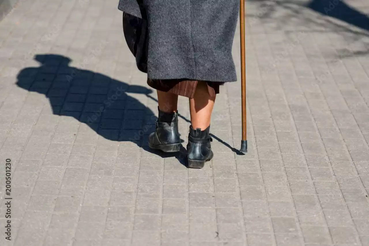 « Notre si chère vieille dame auteur » d’Anne Serre : un grenier plein de gens