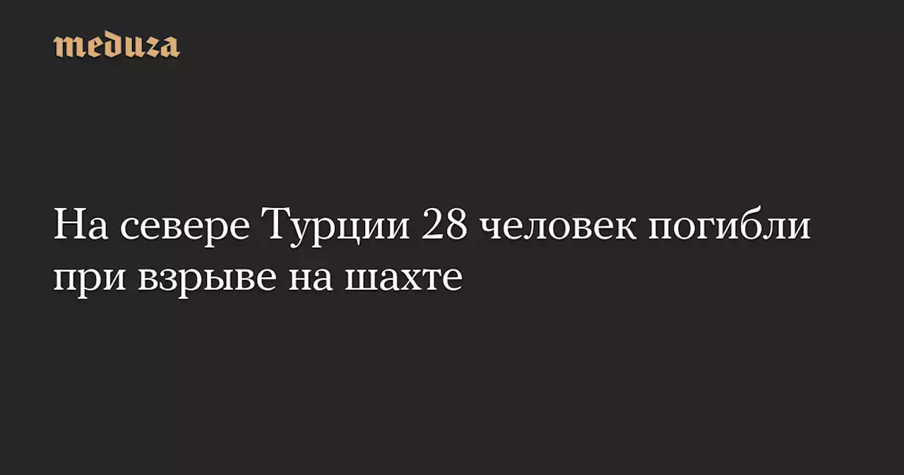 На севере Турции 28 человек погибли при взрыве на шахте — Meduza