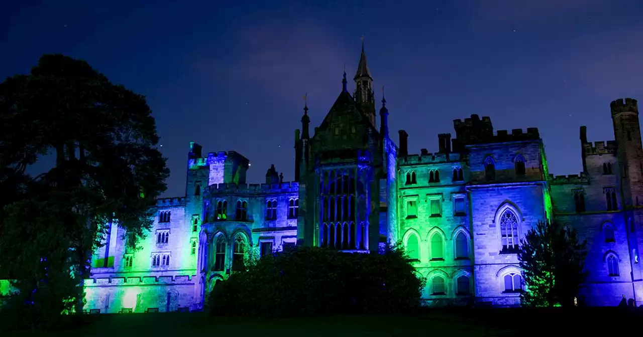 Alton Towers' new attraction is SO scary I could barely speak afterwards