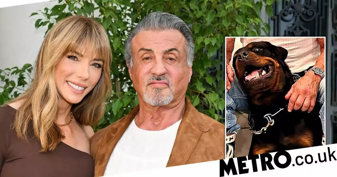 Sylvester Stallone and wife Jennifer 'keeping dog' as they reconcile after split