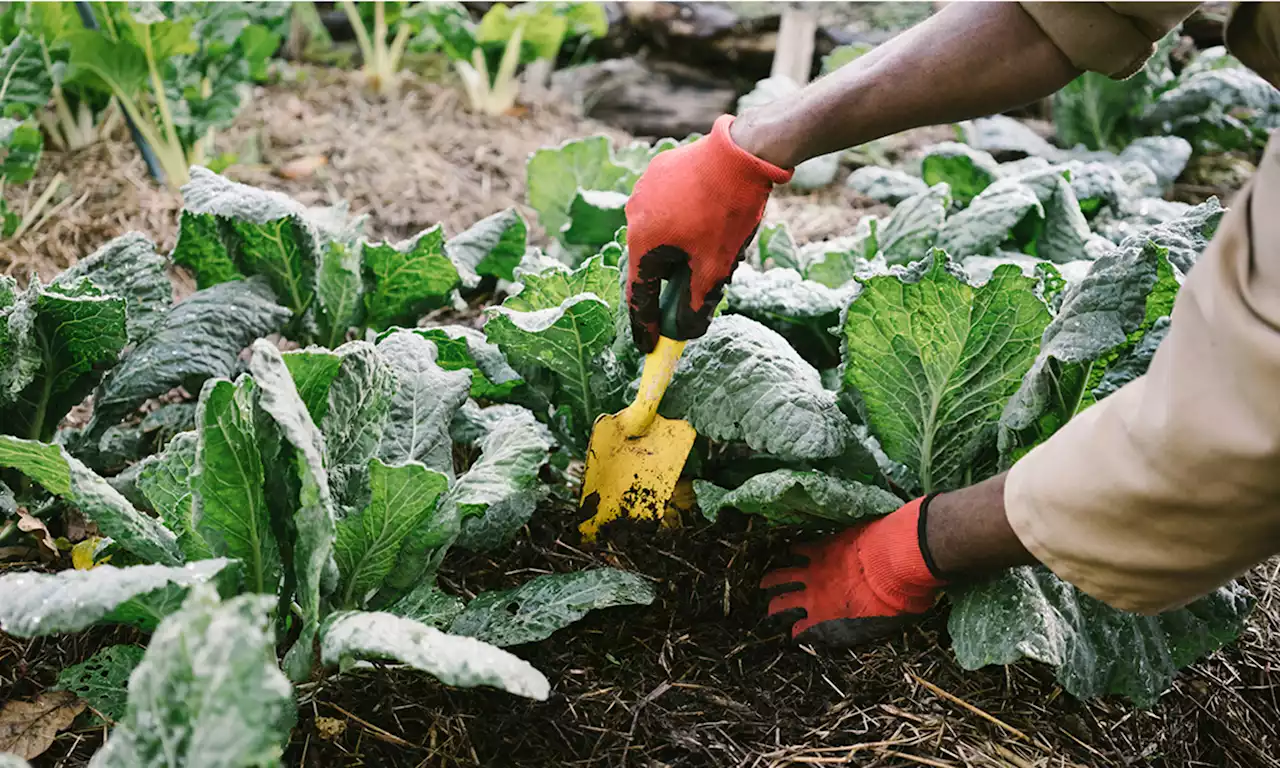 This Program Is Awarding Five Emerging BIPOC Leaders $20,000 Each To Address Climate Change