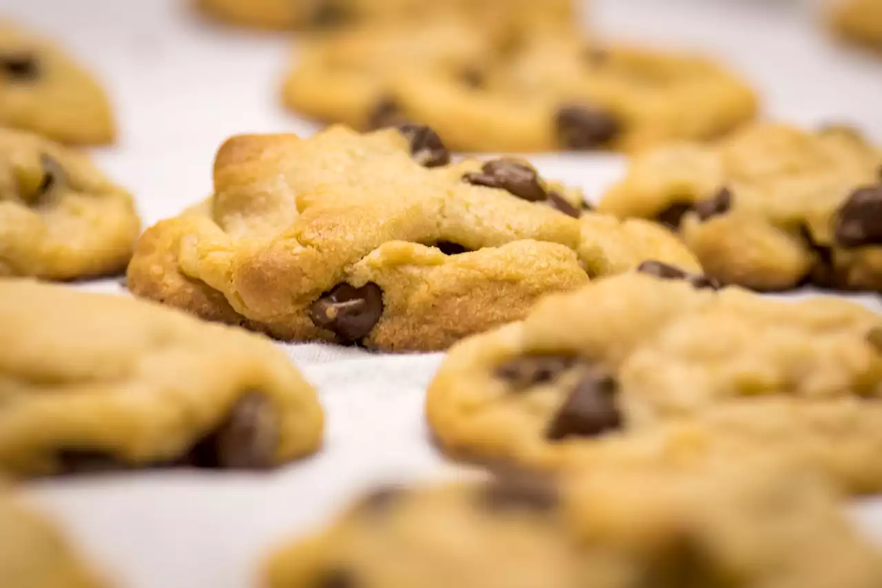 Utah's Cookie War Heats Up in Court – and on Social Media