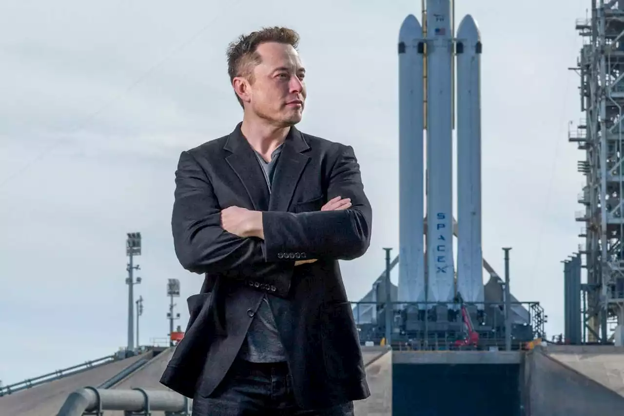 The Elon Musk Show review: Searching for the man who is Elon Musk