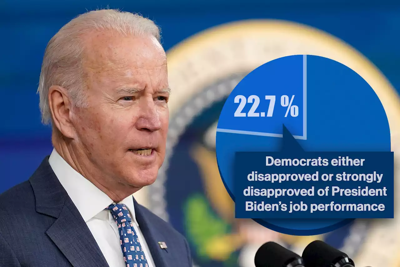 More than 1 in 5 Democrats disapprove of Biden’s performance as president