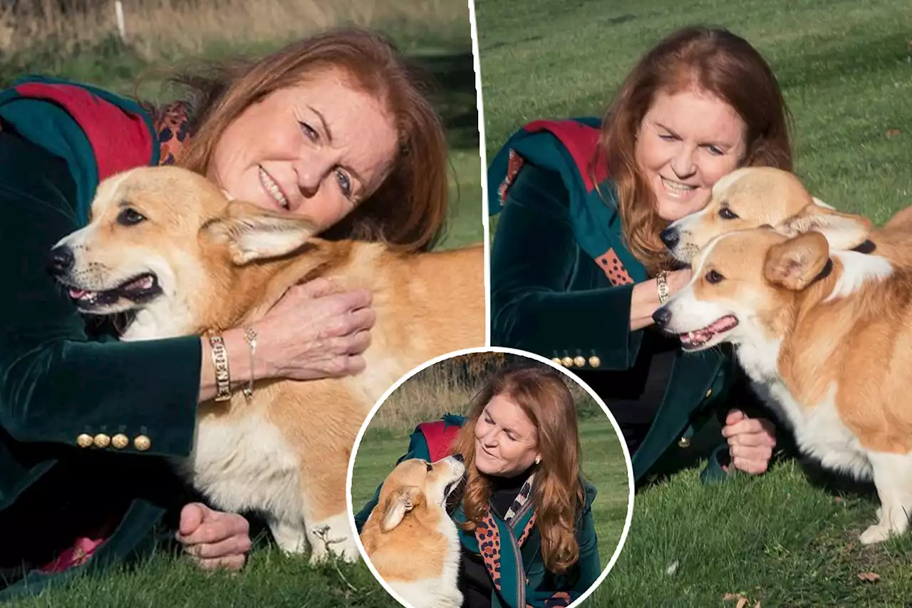 Sarah Ferguson shares photos of Queen’s beloved corgis