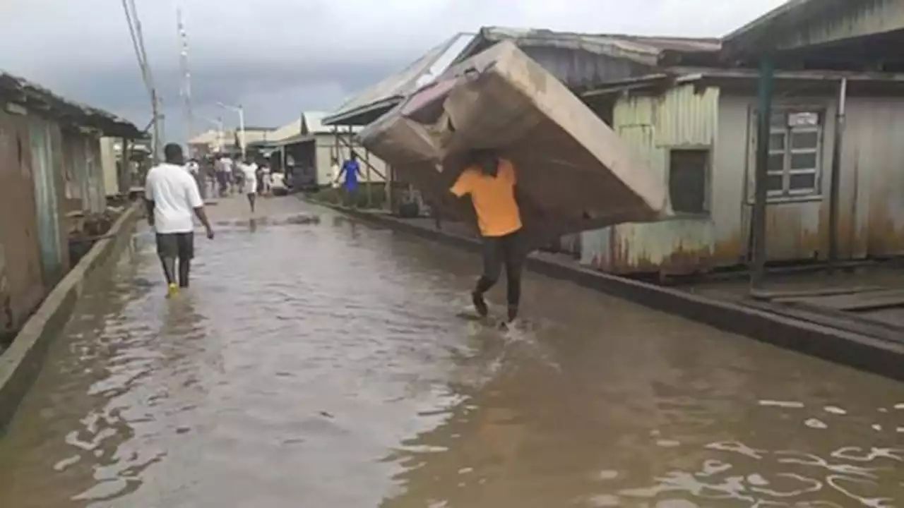 Eight Persons Killed As Flood Washes Pythons, Dangerous Sea Reptiles Into Niger Delta Communities | Sahara Reporters