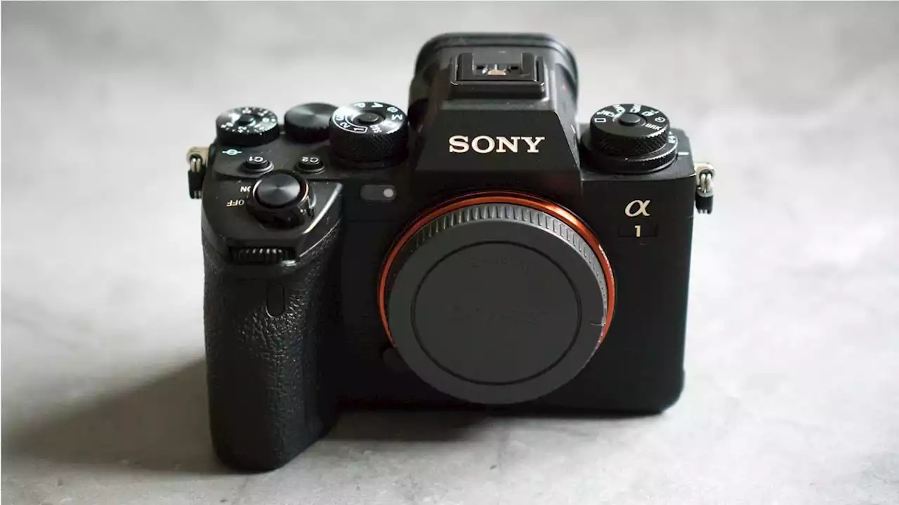 Sony A1 review