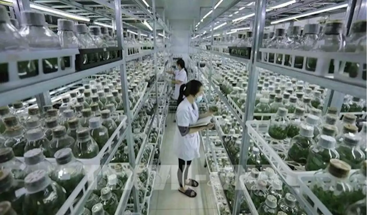 Vietnam moves to boost green agriculture; govt sees big future in industry