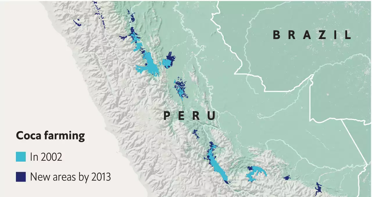 Demand for drugs caused a surge in child labour in Peru