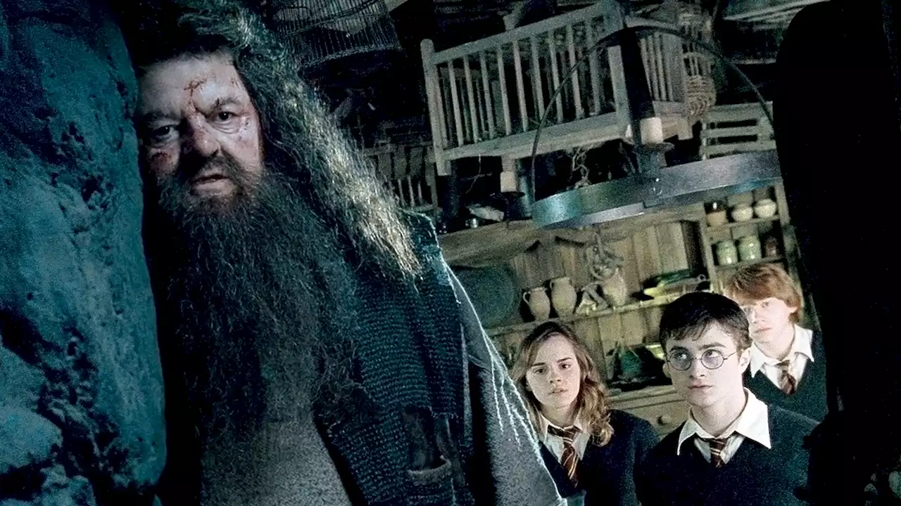 Robbie Coltrane's Harry Potter Costars Pay Emotional Tribute After Hagrid Actor's Death