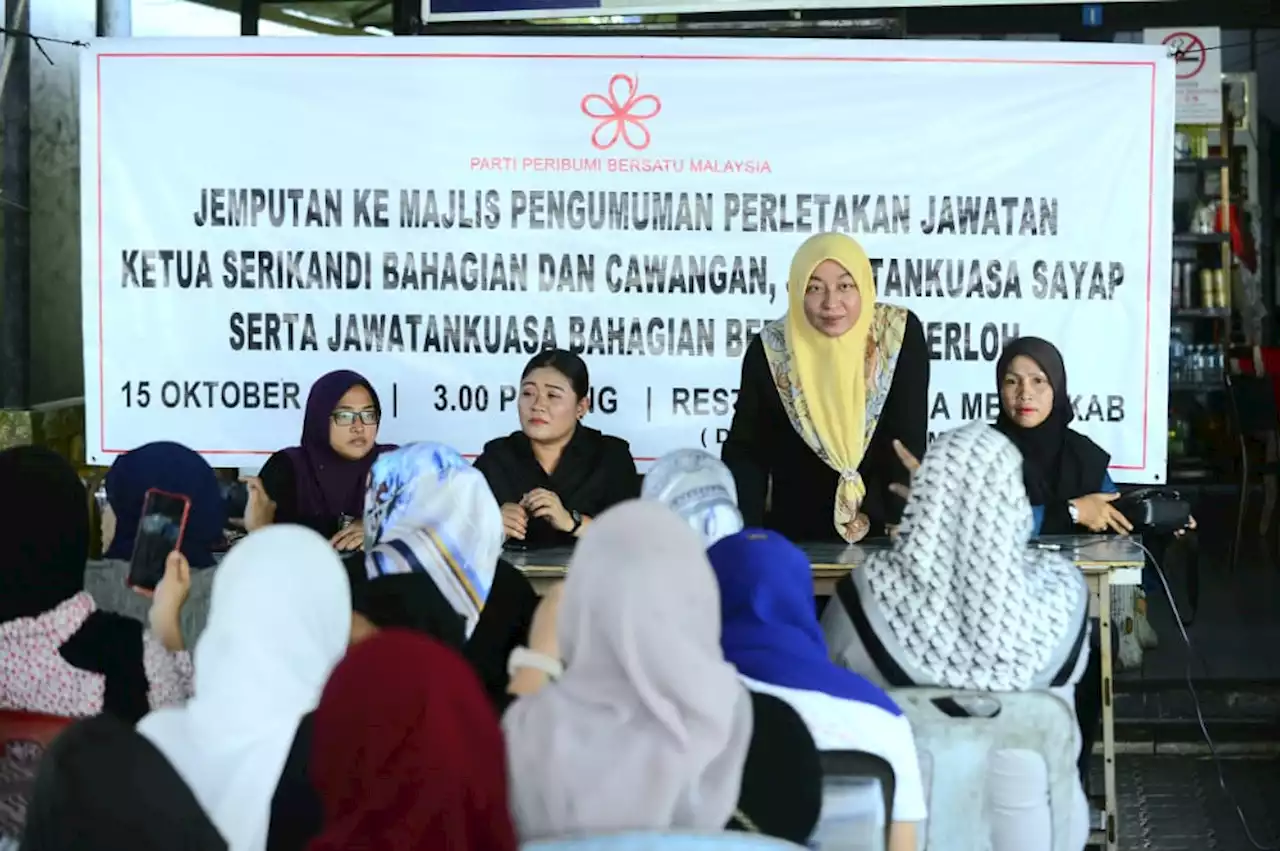 Ketua, 14 AJK Srikandi Bersatu Temerloh letak jawatan