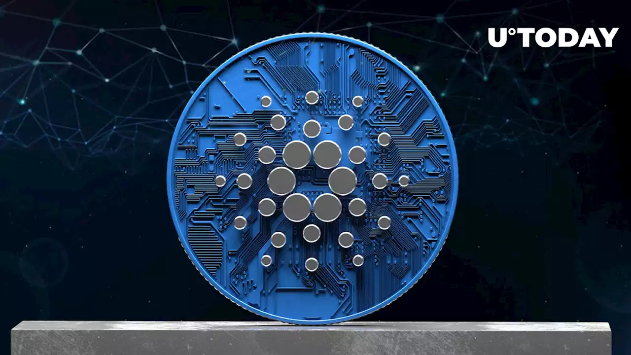 Here's How Cardano Network Has Changed Since Vasil: Details