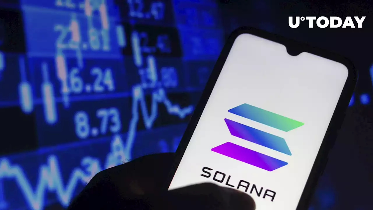 Solana (SOL) Founder on NFT Royalties: 'Ambiguity Is Bad for Crypto'