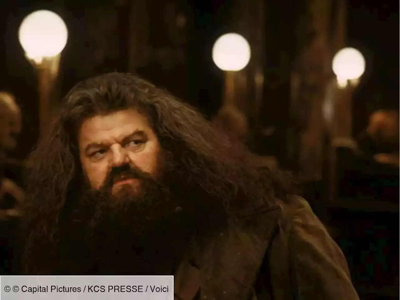 Mort De Robbie Coltrane, Alias Hagrid : Les Stars De Harry Potter Lui ...