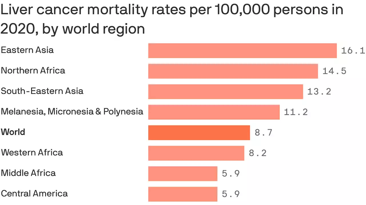 Liver cancer deaths to jump 55% by 2040