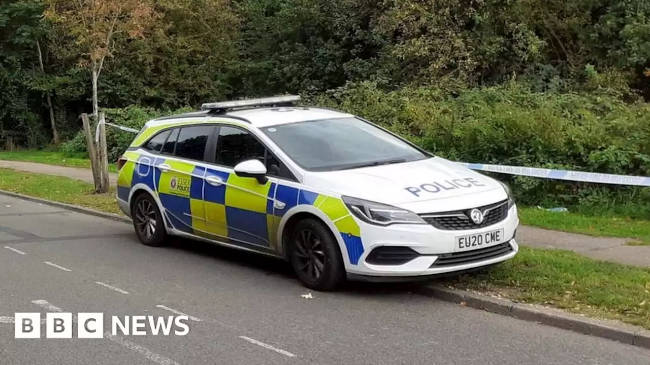 Police probe after man's body found in woodland in Loughton