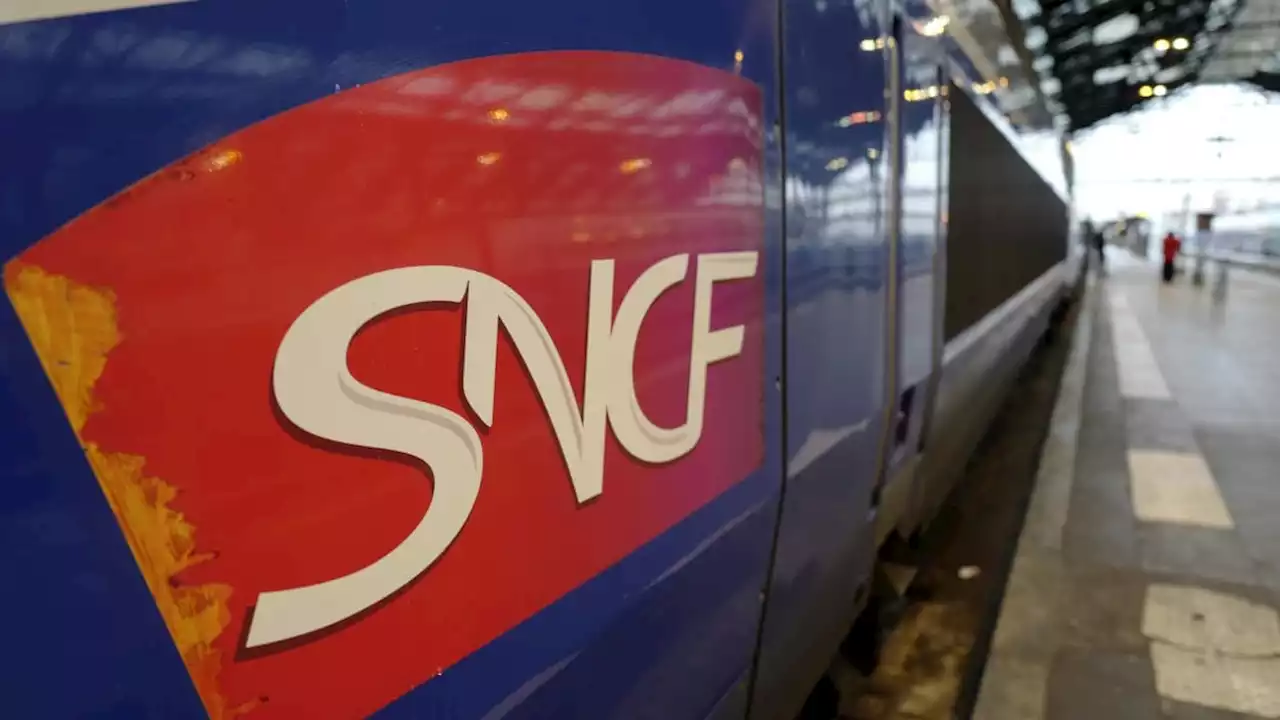 SNCF: le syndicat Sud-Rail 'envisage la grève reconductible' après la mobilisation de mardi