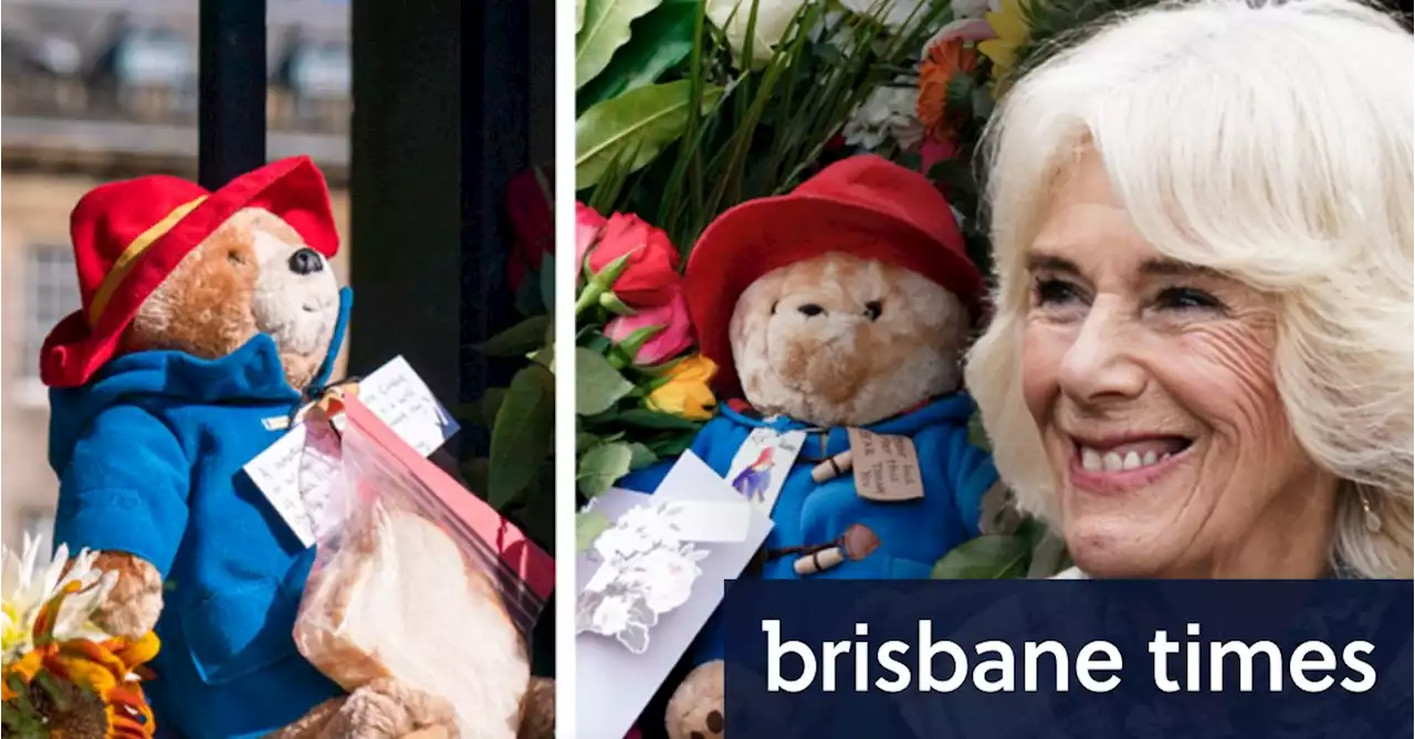 Paddington Bears left in tribute to Queen find a home among disadvantaged children