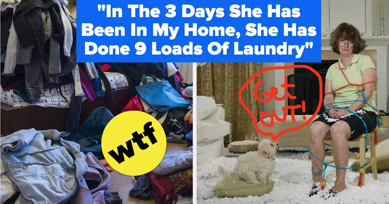 This Woman's Pet Sitter Has Been Doing Tons Of Laundry While She Is Away