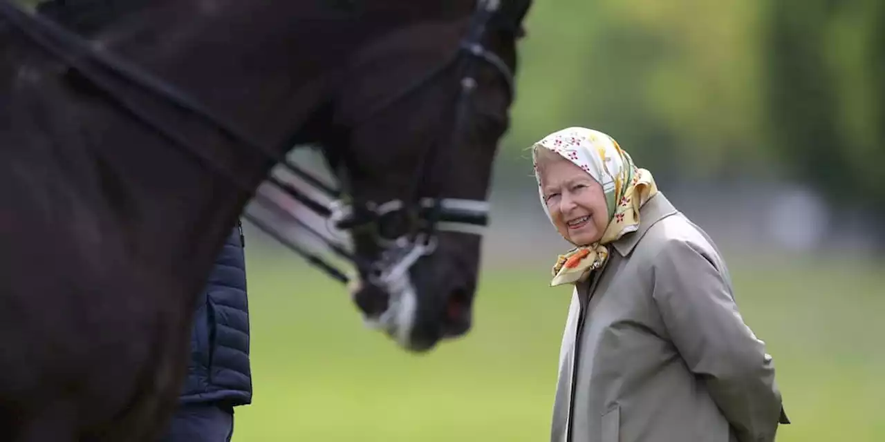 König Charles verkauft die geliebten Rennpferde der Queen