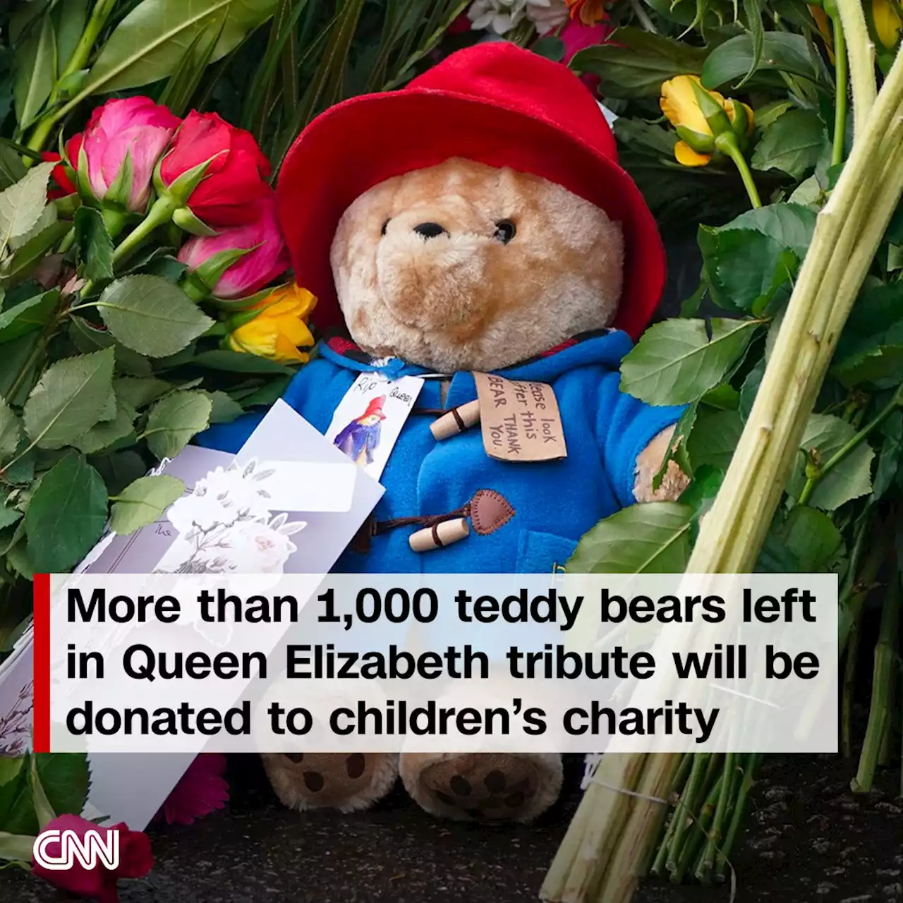 More than 1,000 teddy bears left in Queen Elizabeth tribute will be donated to children's charity | CNN