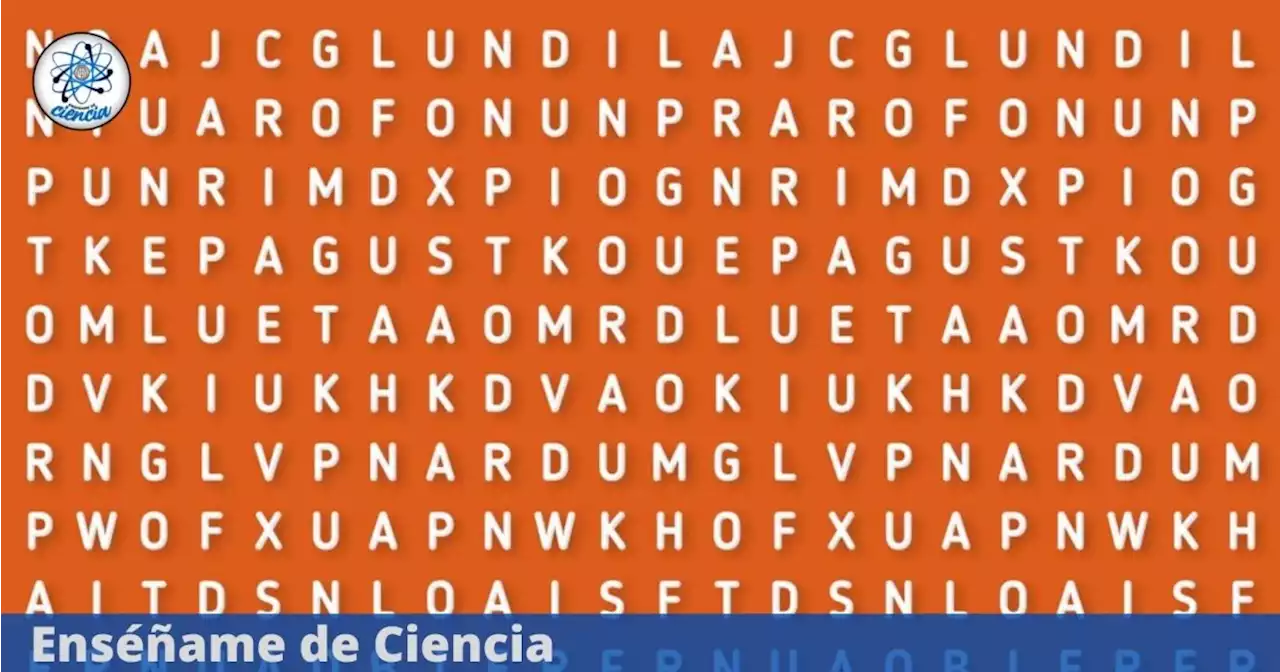 8 de cada 10 logran encontrar la palabra “MEMORIA” que se esconde en la sopa de letras ¿Lograrás encontrarla?