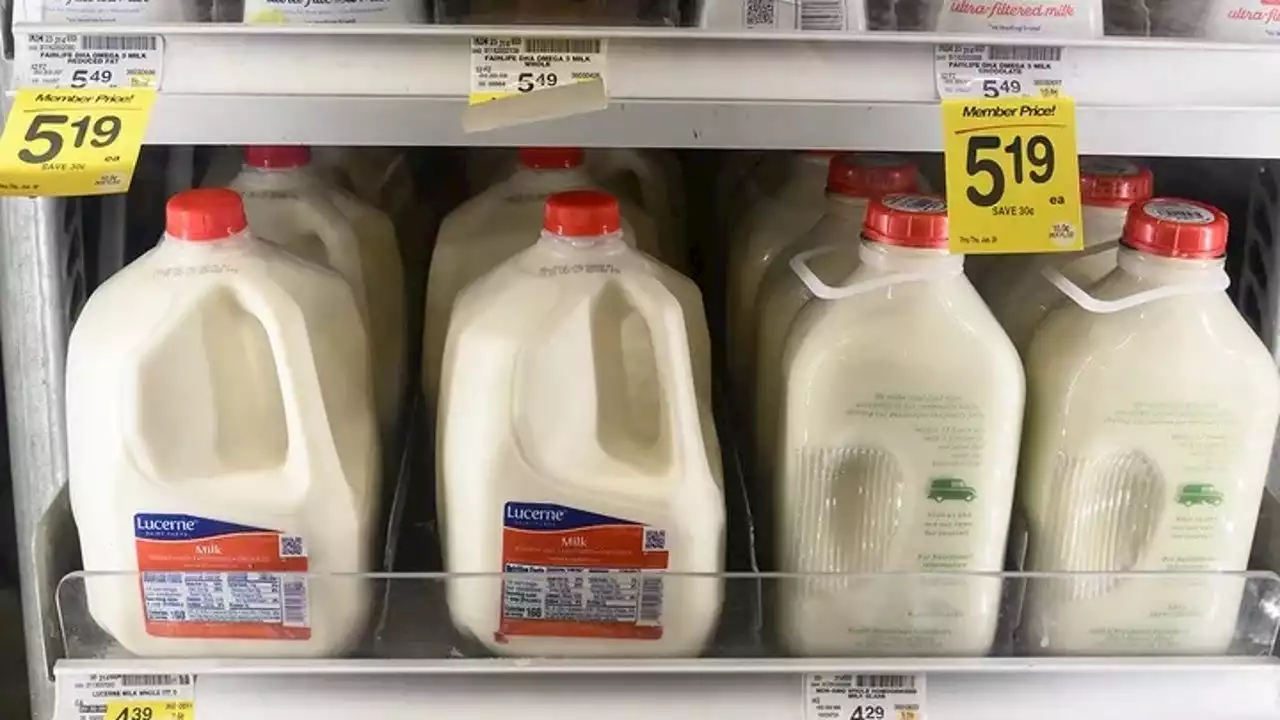 New trend has teens dumping out milk in grocery stores