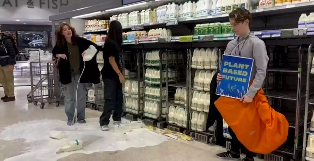 Animal Rebellion protestors pour milk on products and floors in shops across the UK