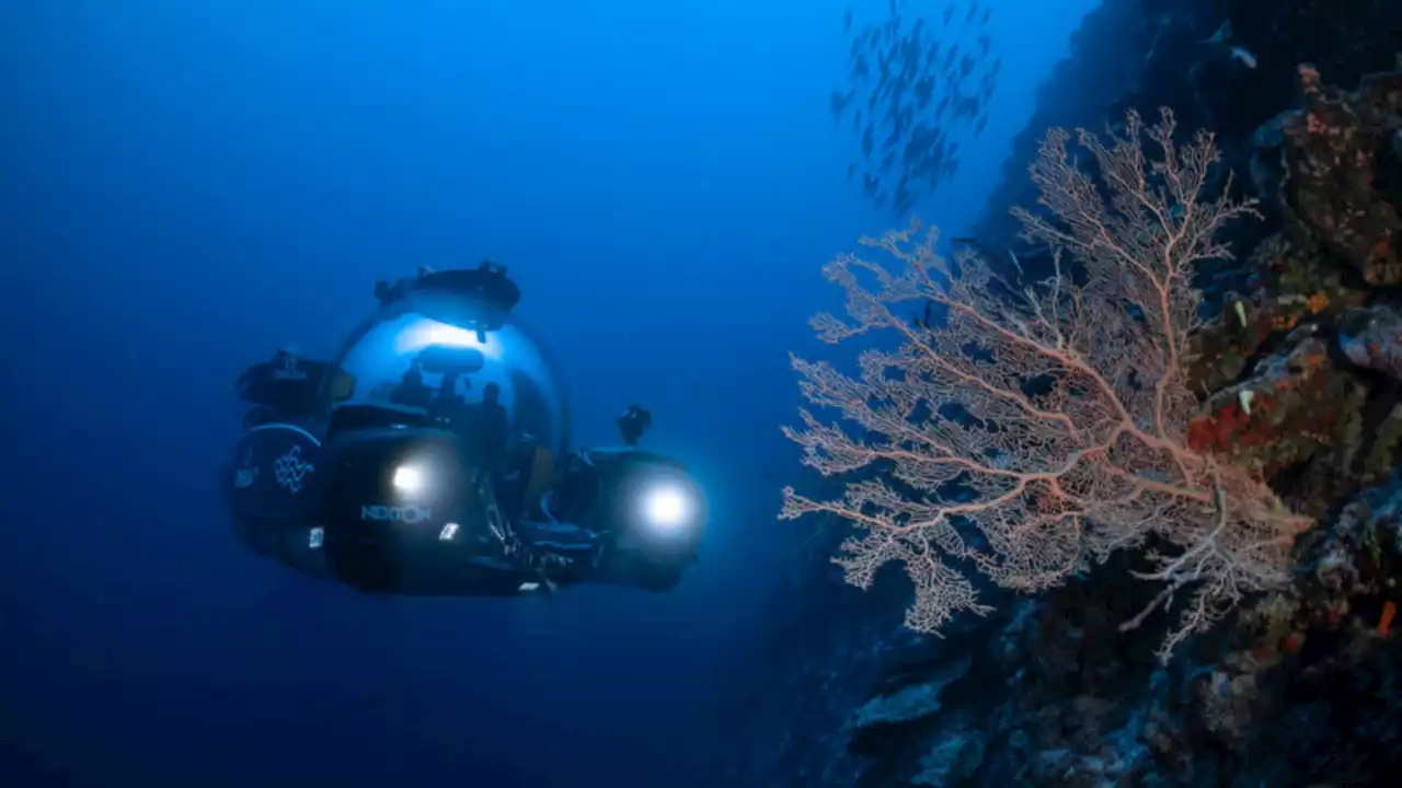 Scientists discover a new ecosystem in the deep ocean of Maldives