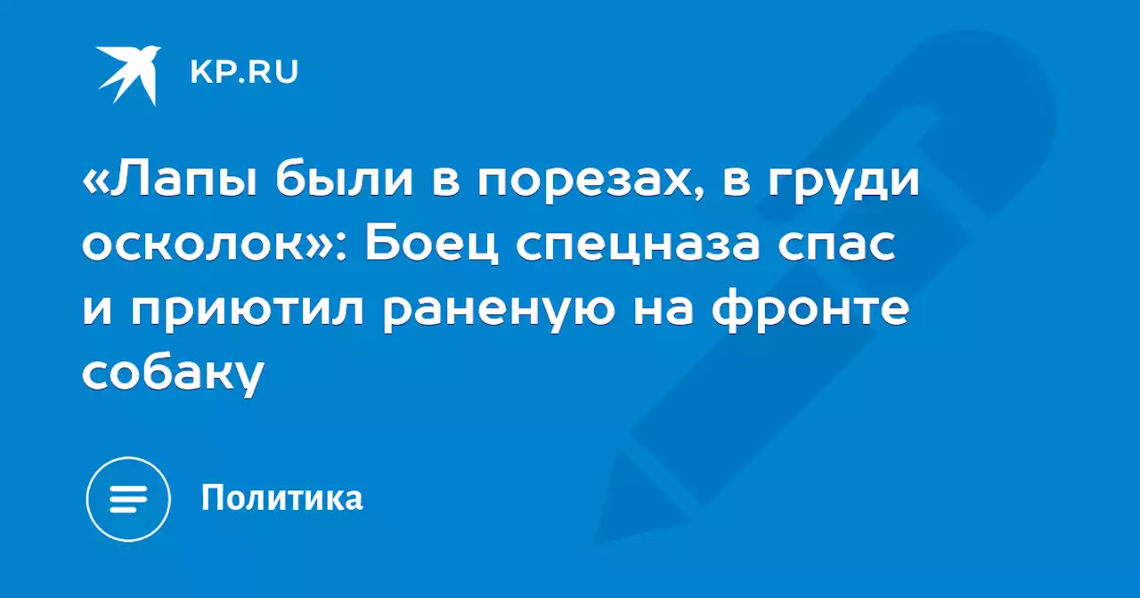 «Лапы были в порезах, в груди осколок»: Боец спецназа спас и приютил раненую на фронте собаку