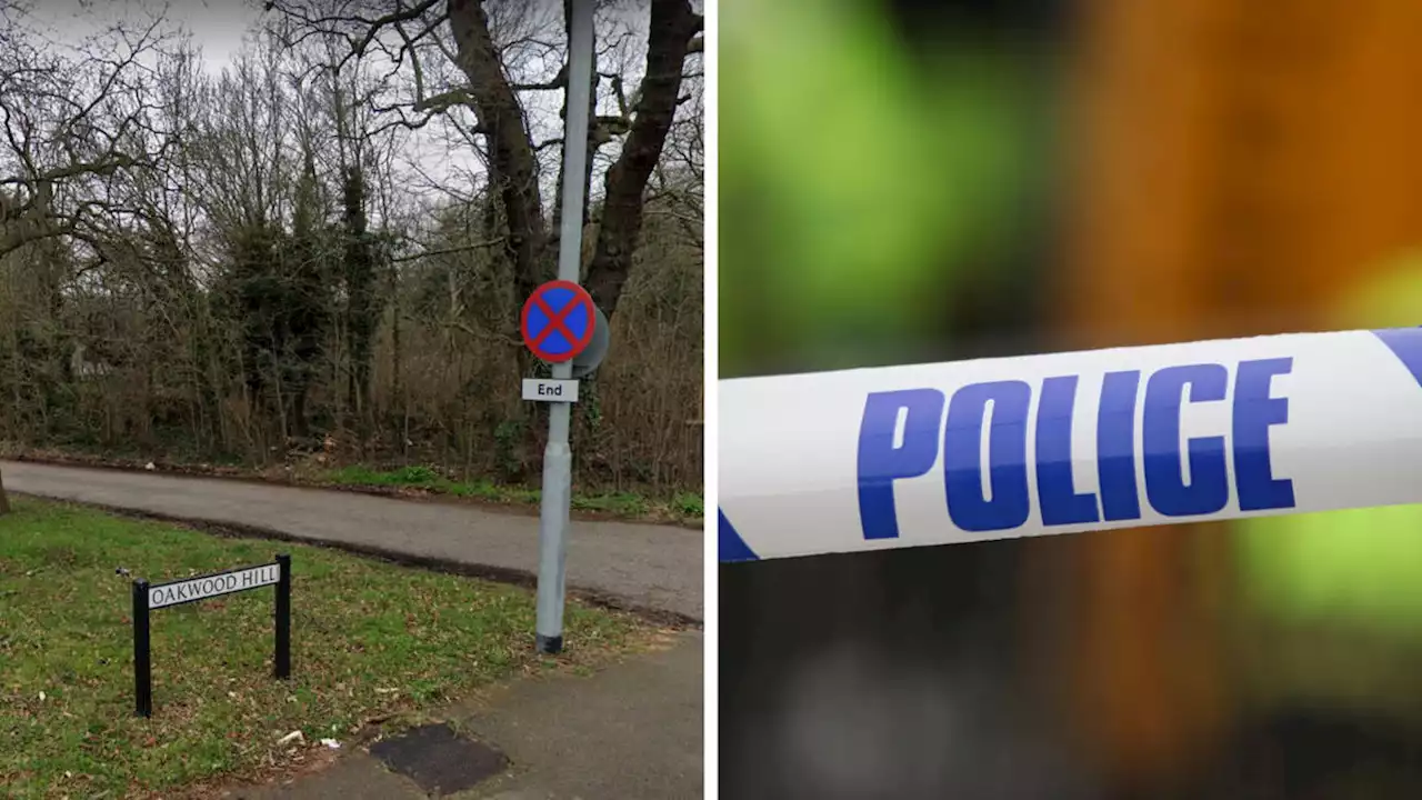 Three arrested after man's body found in woods