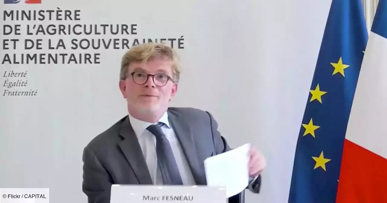 Electricité : les secteurs agricoles et agro-alimentaires seront 'prioritaires' en cas de coupure, assure Marc Fesneau