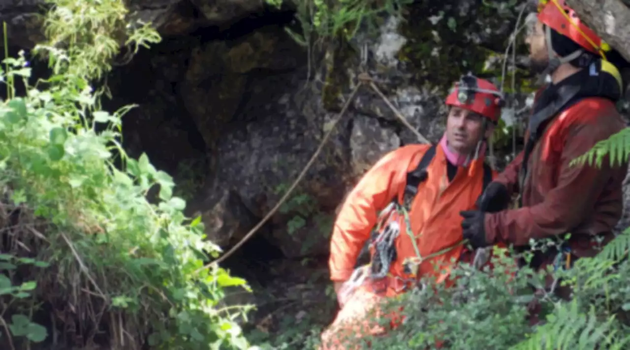 Escursionista scivola nel bosco e precipita: morto nel Bellunese