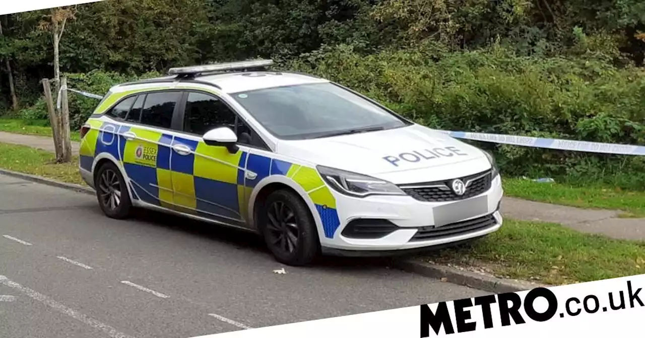 Man’s body found in woods next to M11 motorway in ‘suspicious’ death