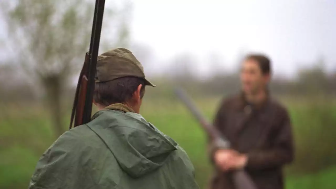 Accident de chasse : arme sur l'épaule, il tue sa femme qui marchait derrière lui dans les Côtes-d'Armor